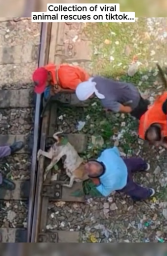 F1804002 Spend fast… or save forever? (part 2)