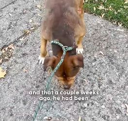 H2204008 Your humanity… or their ending? (Part 2)