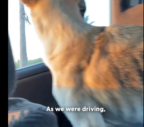 H2204009 Your kindness… or their darkness? (Part 2)