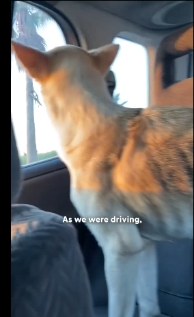 H2204009 Your kindness… or their darkness? (Part 2)