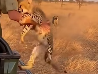 Z2204009 They’re broken… you can help. (Part 2)