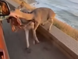 Z2204011 They can’t act… you can. (Part 2)