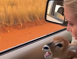 Z2204010 They don’t choose… you do. (Part 2)