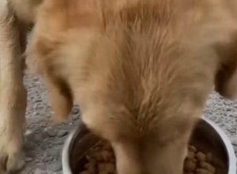 Q2204008 They need one chance… you hold it. (Part 2)