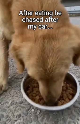 Q2204008 They need one chance… you hold it. (Part 2)