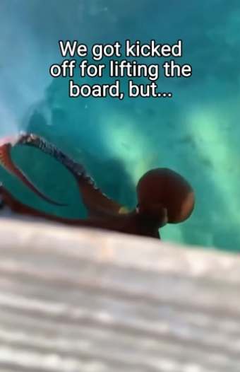 Q2204009 They need one act… you decide it. (Part 2)