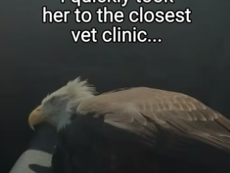 Q2204010 They need someone… you could be it.  (Part 2)