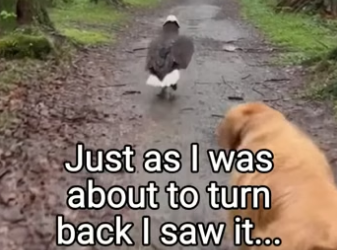 Q2204011 They need help… you know it. (Part 2)