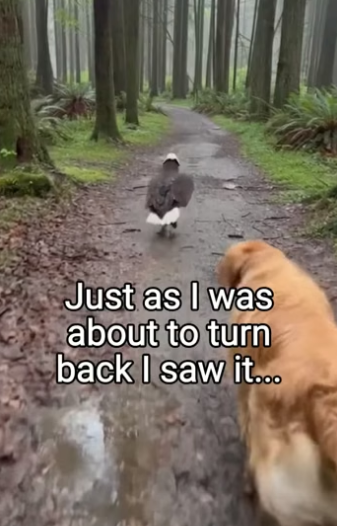 Q2204011 They need help… you know it. (Part 2)