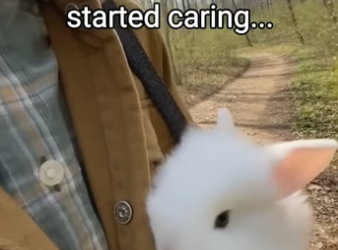 Q2204012 They need saving… you see it. (Part 2)