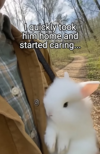 Q2204012 They need saving… you see it. (Part 2)