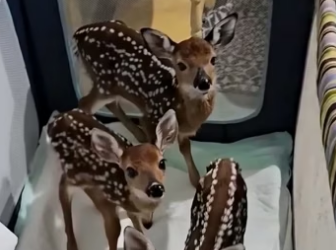 E2404001 Your heart… or your comfort? (Part 2)