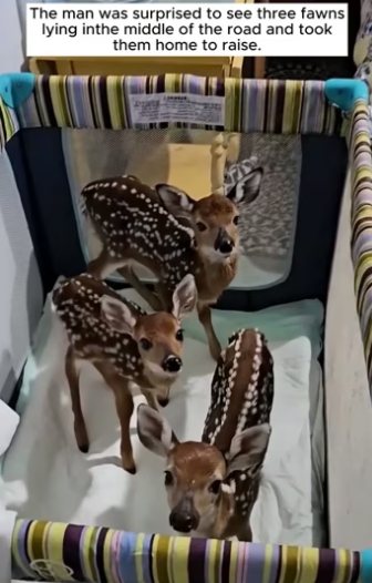 E2404001 Your heart… or your comfort? (Part 2)