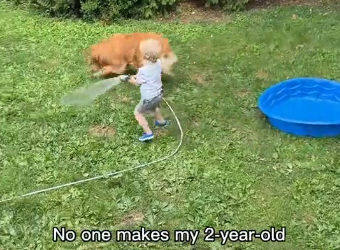 J2404002 Dogs play with children (Part 2)