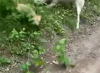 Z2204012 They can’t ask… you hear. (Part 2)