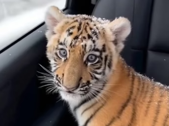 Q2404001 The pain is real… will you act? (Part 2)