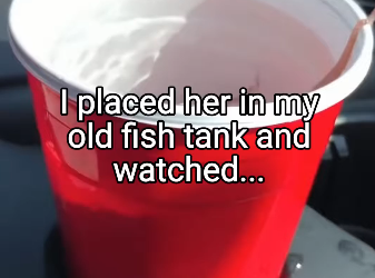 Q2404002 The need is real… will you respond? (Part 2)