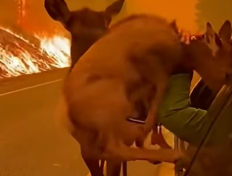 Z2404005 They need now… not someday. (Part 2)