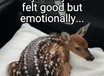 Q2404004 Words aren’t enough… action is. (Part 2)