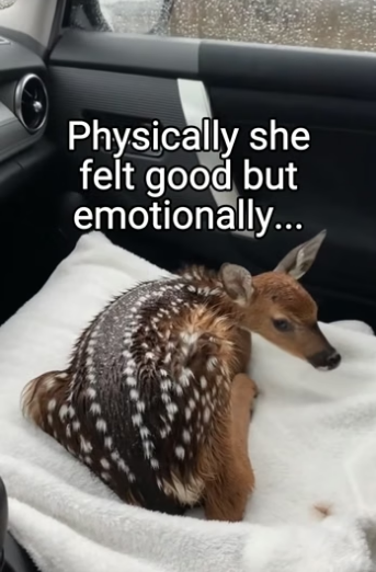 Q2404004 Words aren’t enough… action is. (Part 2)