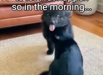 Q2404005 Thinking isn’t enough… doing is. (Part 2)