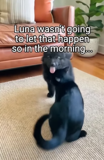 Q2404005 Thinking isn’t enough… doing is. (Part 2)