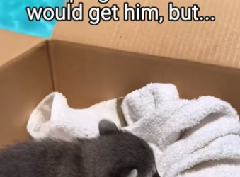 Q2404006 Caring isn’t enough… proving is. (Part 2)