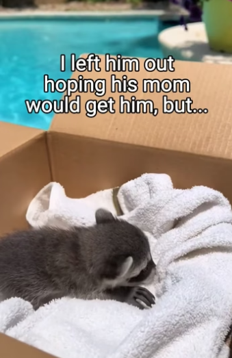 Q2404006 Caring isn’t enough… proving is. (Part 2)