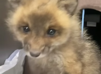 D2404005 Your kindness… or their darkness? (Part 2)