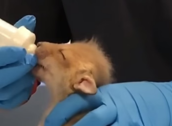 D2404009 Your action now… or their forever? (Part 2)