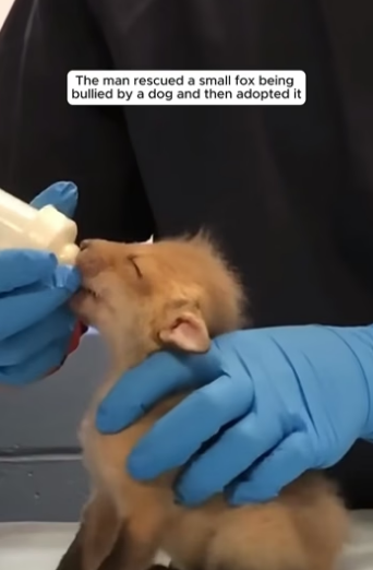 D2404009 Your action now… or their forever? (Part 2)