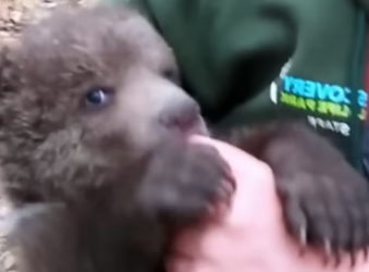 D2404010 Your help once… or their life forever? (Part 2)