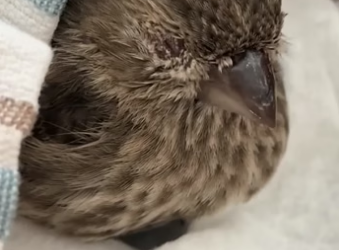 D2404012 Your care… or their hope? (Part 2)