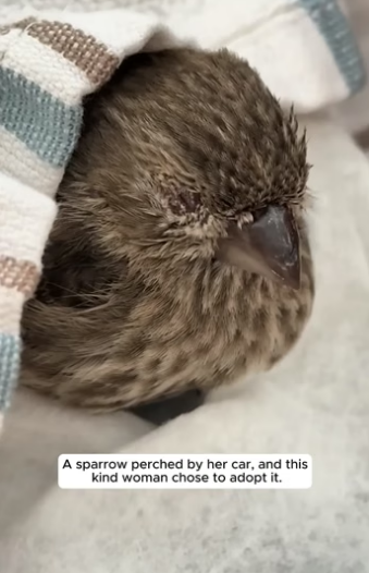 D2404012 Your care… or their hope? (Part 2)