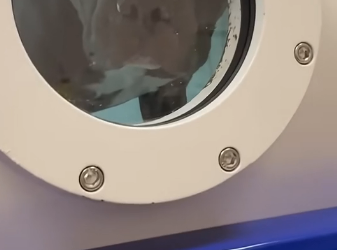 D2604001 Reality vs comfort — which wins? (Part 2)