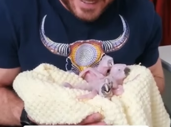 D2604003 Pain vs silence — which continues? (Part 2)