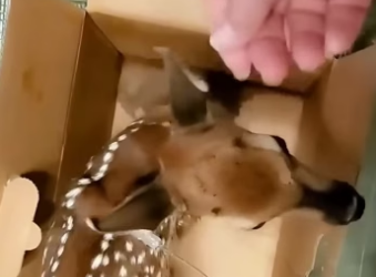 D2604002 Truth vs habit — which matters? (Part 2)