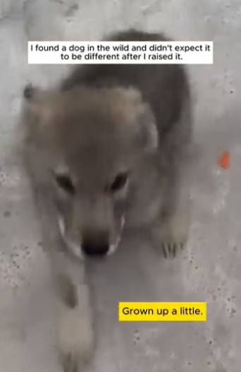 E2604002 You can… will you? (Part 2)