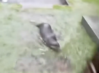 E2604005 You have the chance… will you take it? (Part 2)