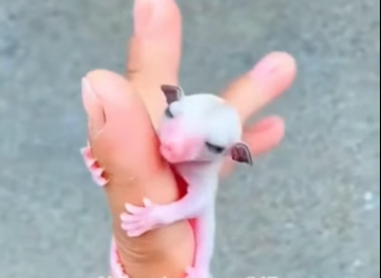 E2404012 They fade… you scroll again. (Part 2)