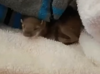 E2404008 They hope… you doubt. (Part 2)