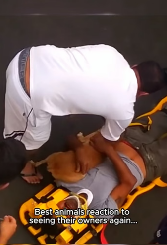 F2404003 They’re alone… you’re not. (Part 2)