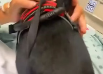 F2404004 They’re helpless… you’re able. (Part 2)