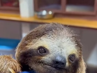 F2404006 They’re suffering… you’re comfortable. (Part 2)