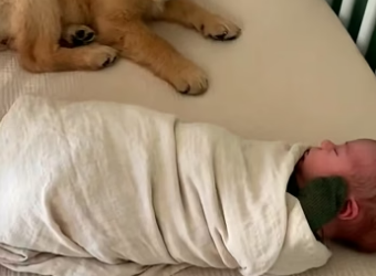 F2604005 What will you do differently? (Part 2)