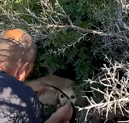 H2404002 They’re dying… you’re scrolling. (Part 2)