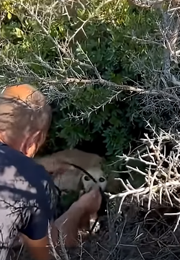 H2404002 They’re dying… you’re scrolling. (Part 2)