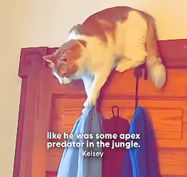 H2404004 They’re lost… you can find them. (Part 2)