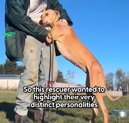 H2404007 They can’t act… you can. (Part 2)