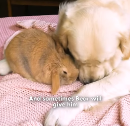 H2404008 They can’t ask… you hear. (Part 2)